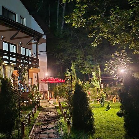 Pensiunea Lui Calin Окнеле-Мари Экстерьер фото